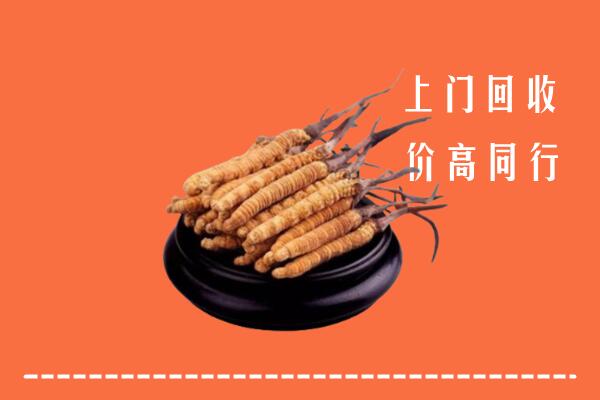高价求购：渑池县回收散虫草