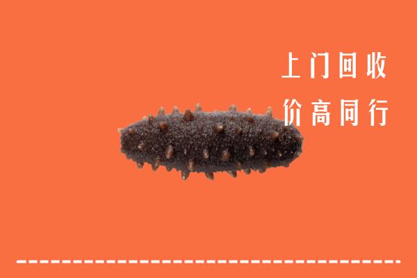 高价求购：渑池县回收海参